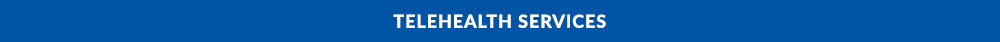 Telehealth services section header